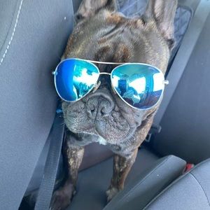 Meet your Posher, Angela